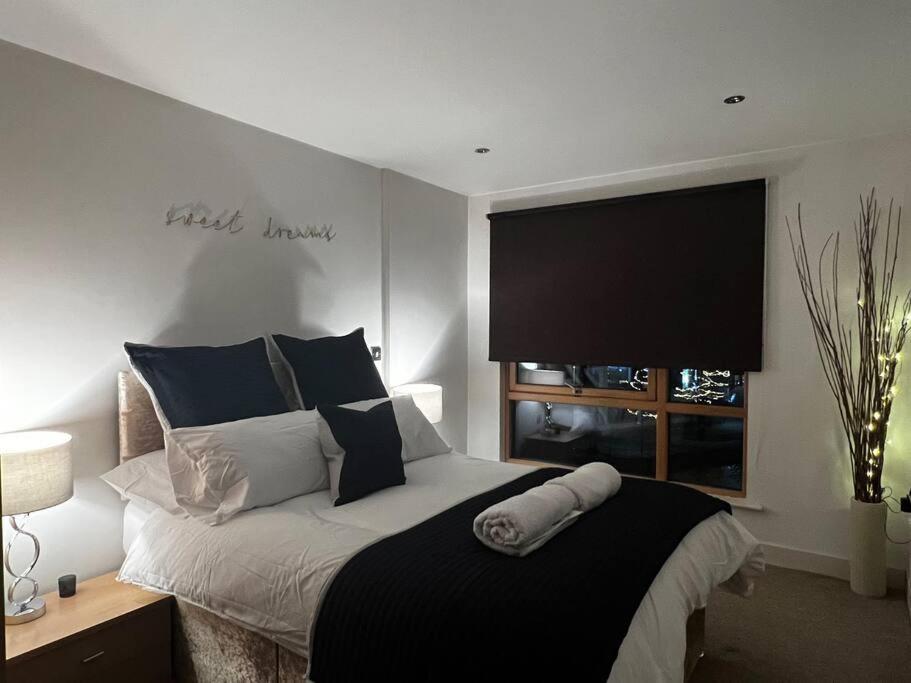 Leeds Clarence Dock 2 Bedroom Apt