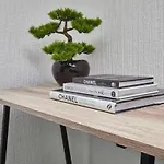 Vinery Deluxe Comfortable Home