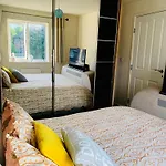 Dengenzy House