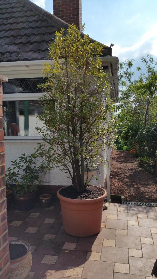 Area Close To Leeds Centre Bed & Breakfast