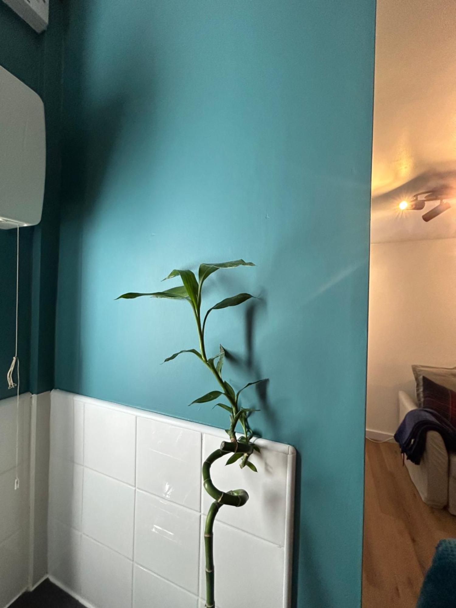 Apartment Woodhouse Leeds (West Yorkshire)