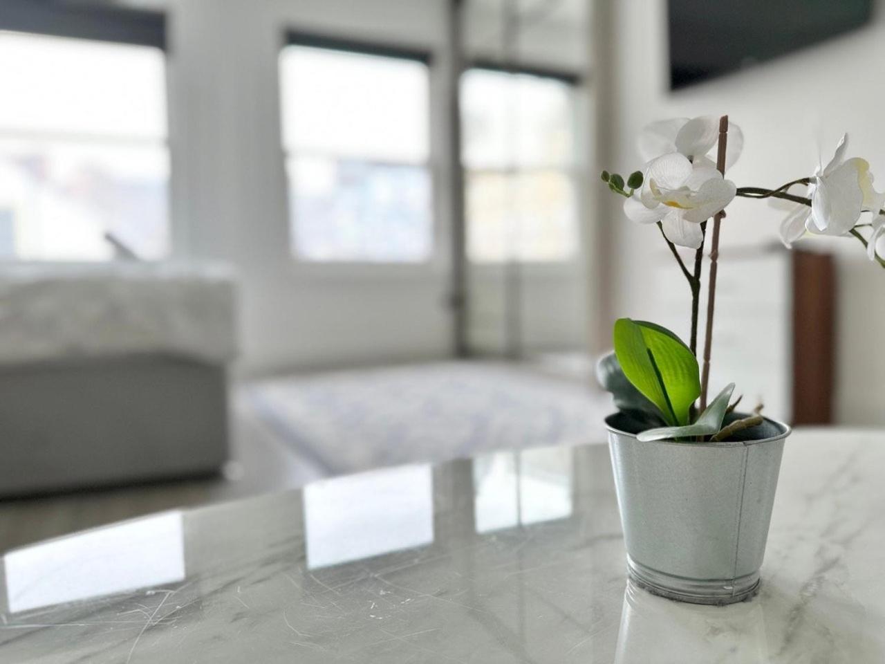 Apartment Cute, Stylish 1 Bedroom Leeds Leeds (West Yorkshire)