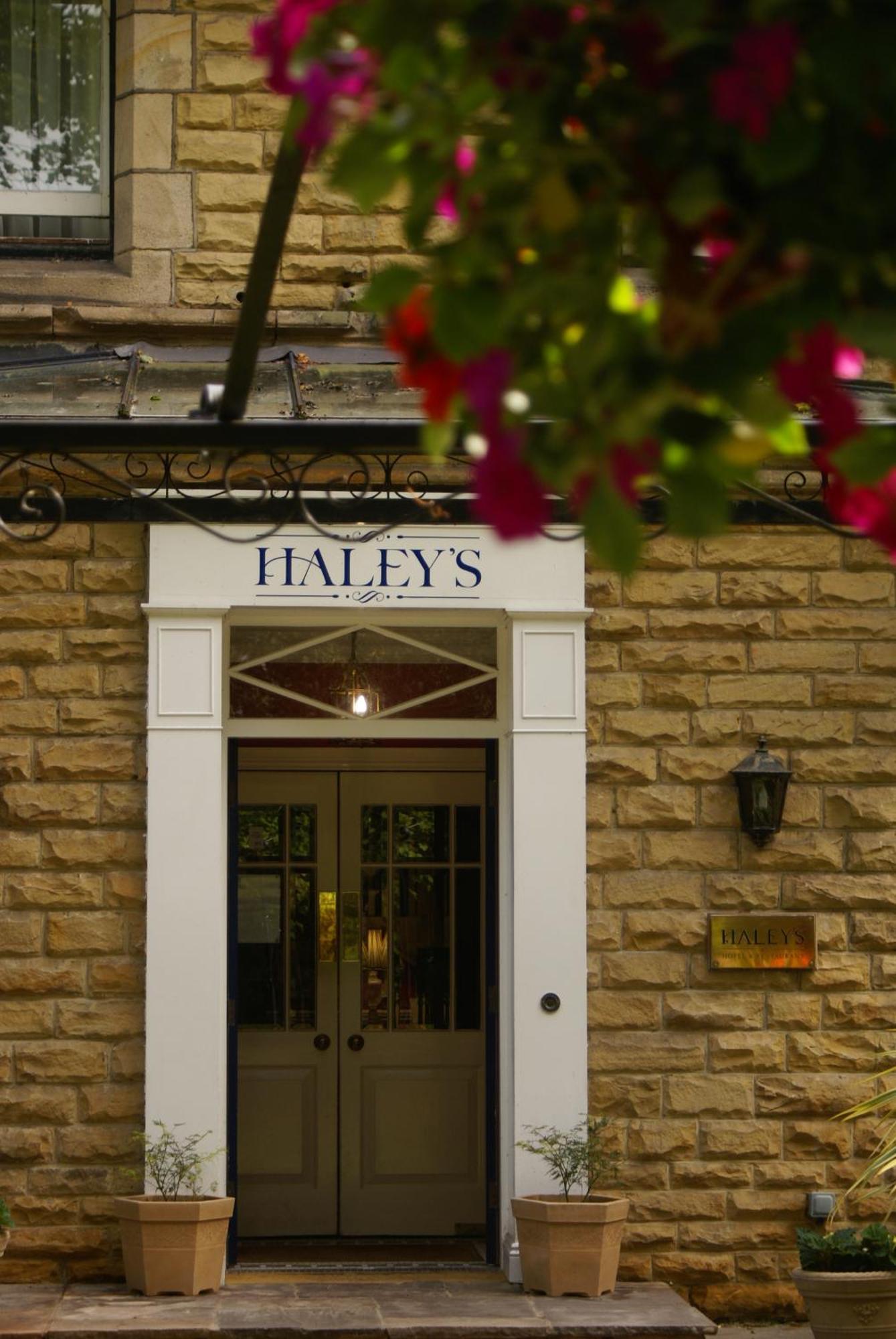 Haley's