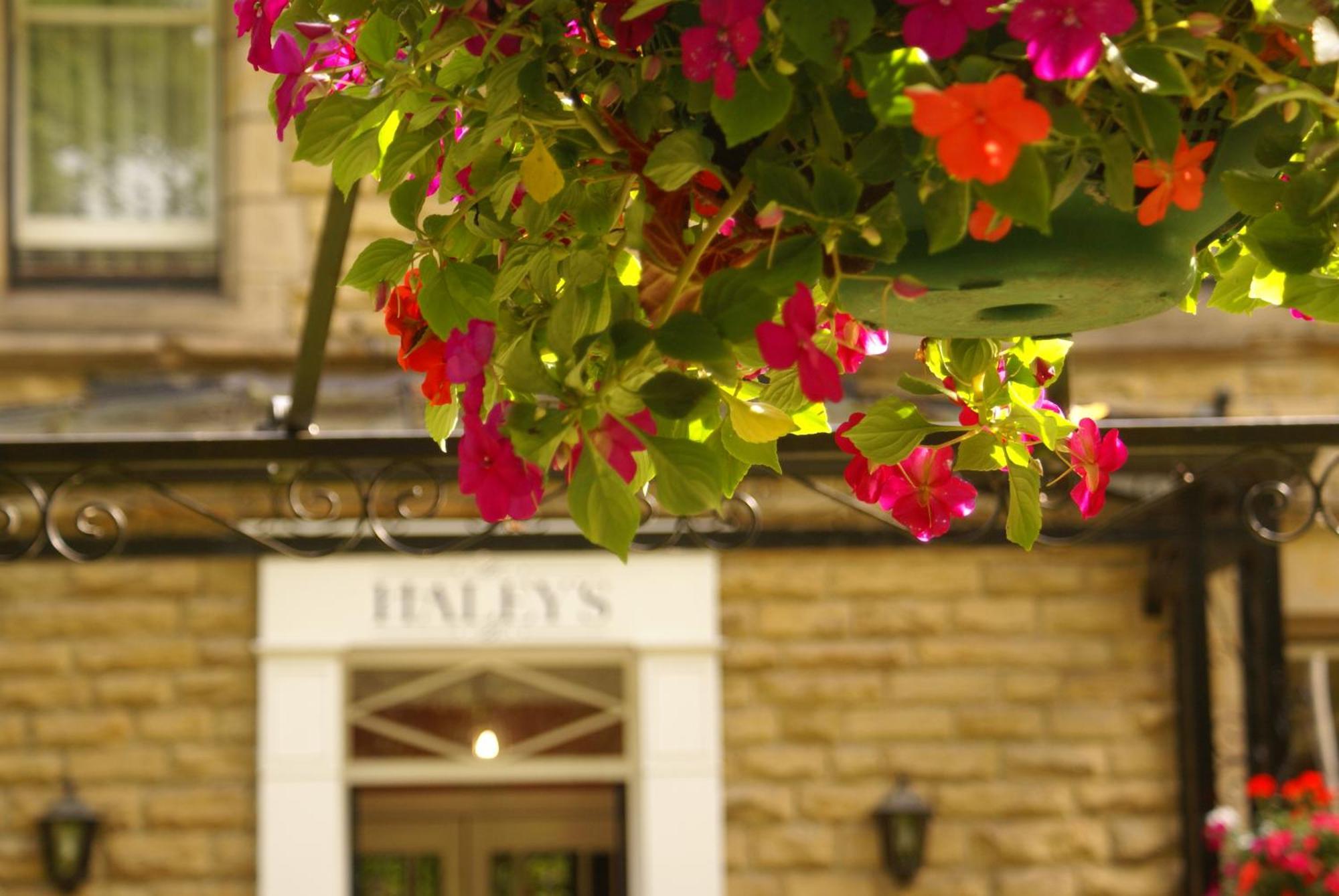 Haley's Hotel 3*