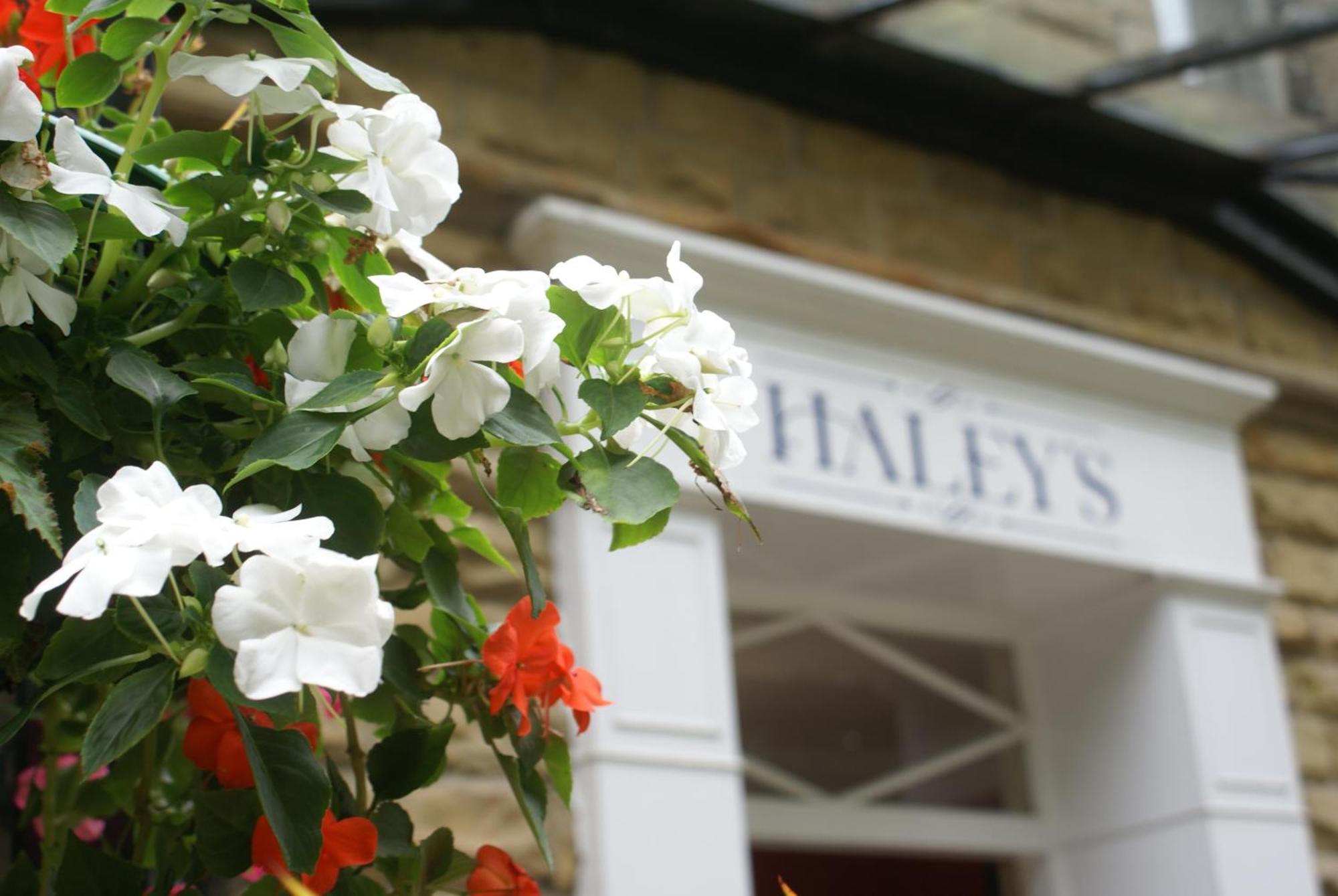 Haley's 3*