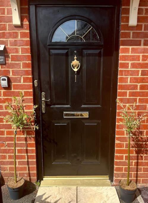 Artistic, Bright & Spacious 3 Bedroom