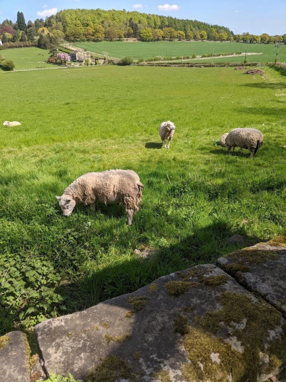 1 Hillside Leeds (West Yorkshire)
