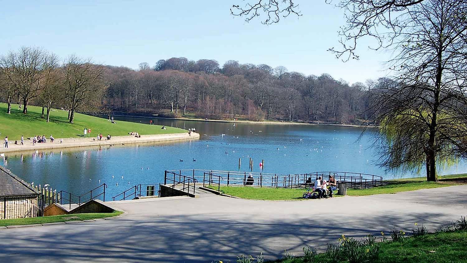Homestay *rc9bc* For Your Relaxed & Cosy + Free Parking + Free Fast Wifi * Leeds (West Yorkshire)