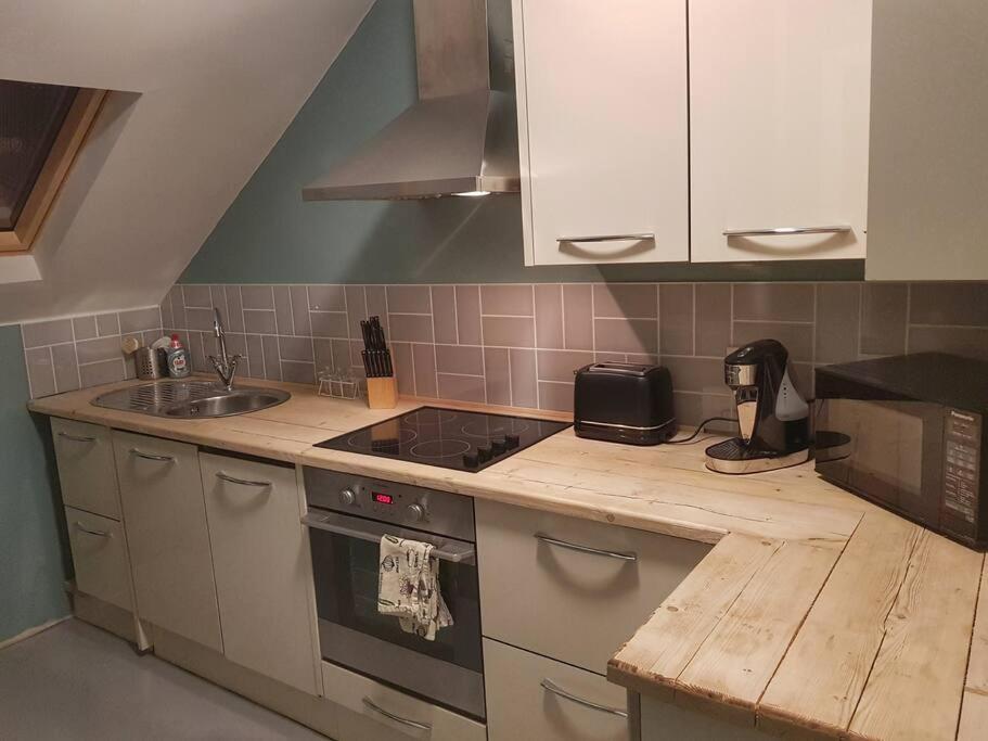 Self-contained Attic Flat, 15 Mins From The Centre Apartment