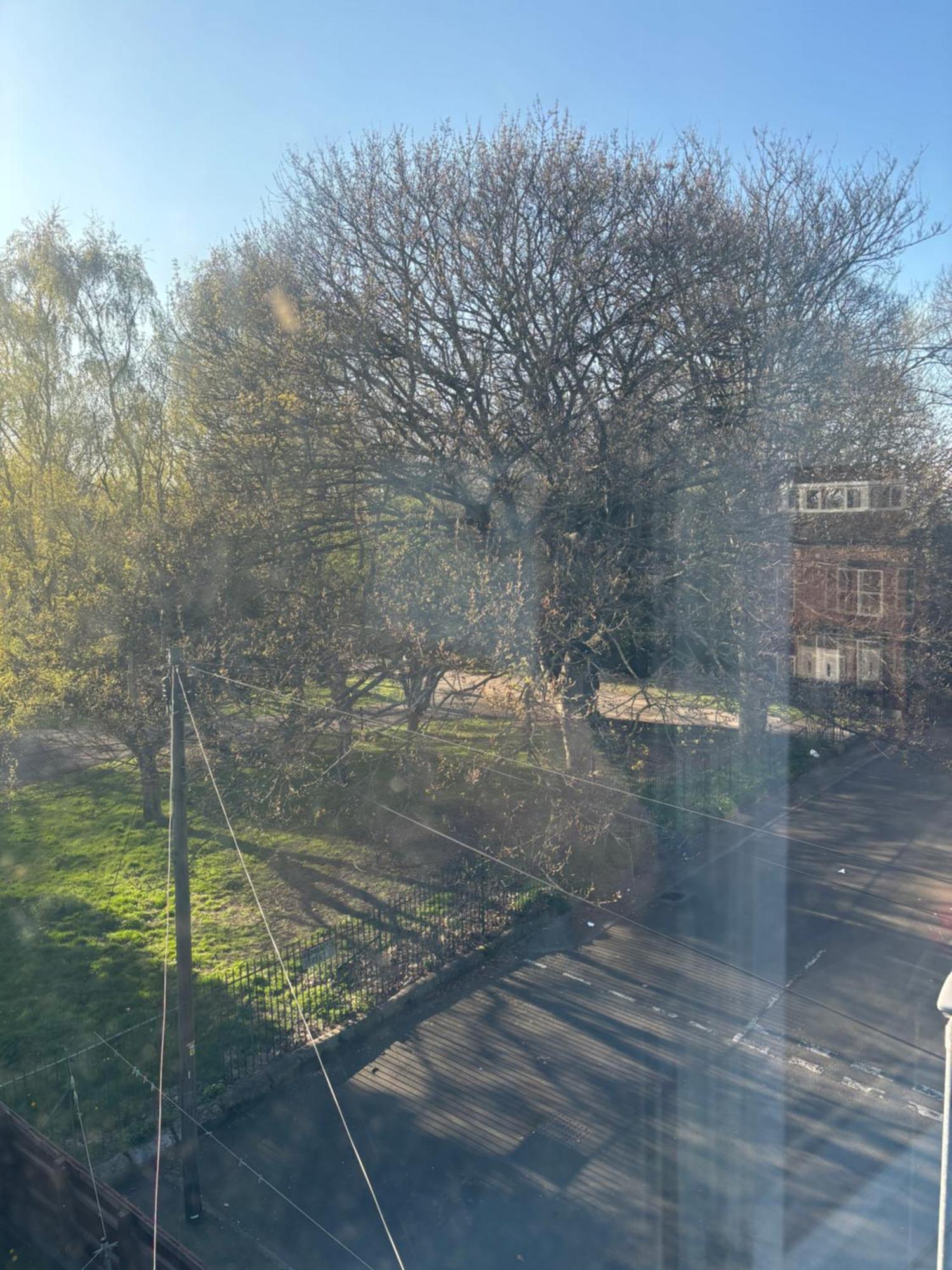 Bright And Cozy In * Leeds (West Yorkshire)