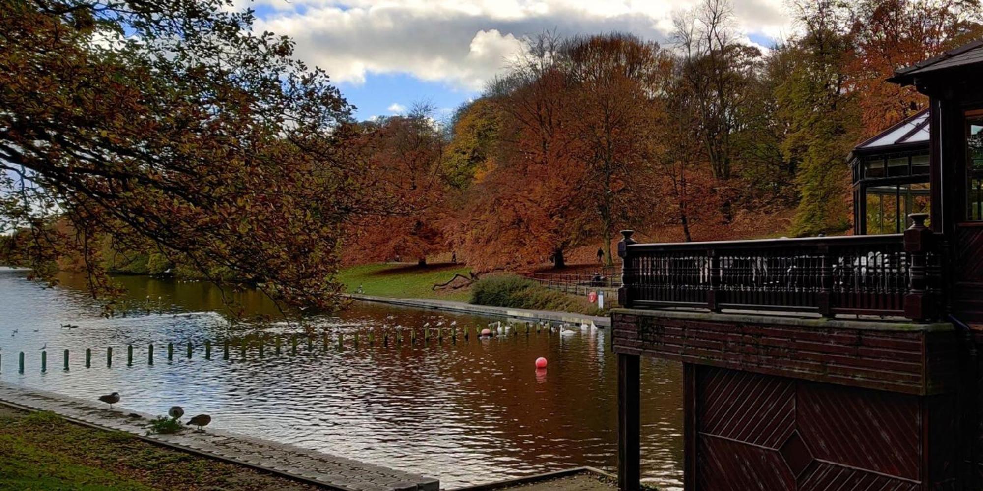 Borrowdale Brook Holiday home *